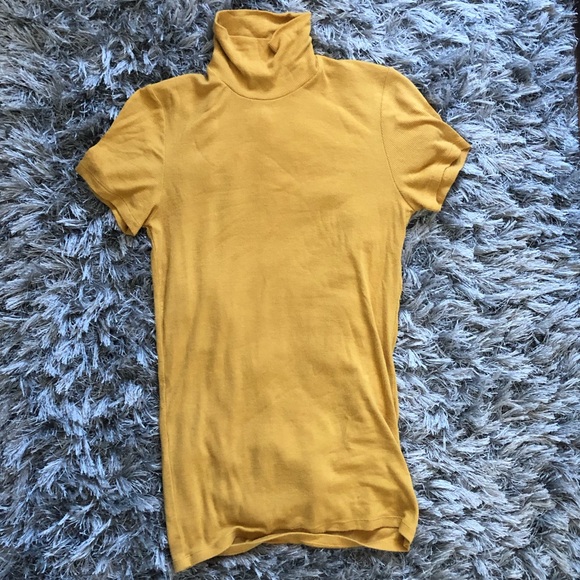 ⭐️🌟Aritzia Short Sleeve Ribbed Turtleneck in Cairo Gold🌟 - Picture 5 of 6
